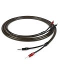 Chord EpicX Speaker Cable